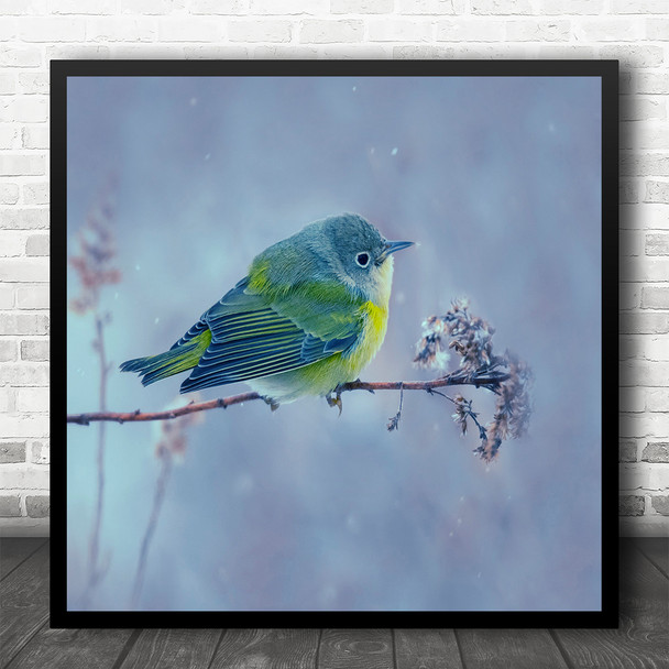 Bird Birds Winter Cold Branch Snow Snowing Snowfall Snowy Animal Square Print