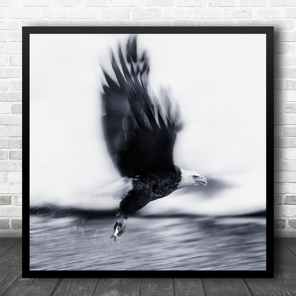 Eagle Fly Wild Wildlife Nature Animal Animals Eagles Panning Square Art Print