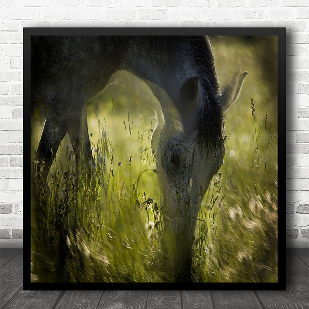 Baby Horse In-between Grass Eating Floral Landscape Square Wall Art Print