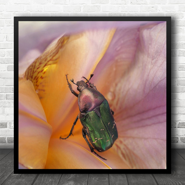 Macro Up Close Nature Insect Centre Flower Pink Square Wall Art Print