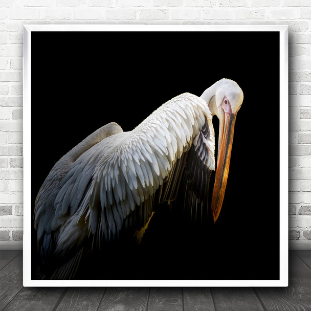 Animal Beak Pelican Bird Black Background Square Wall Art Print