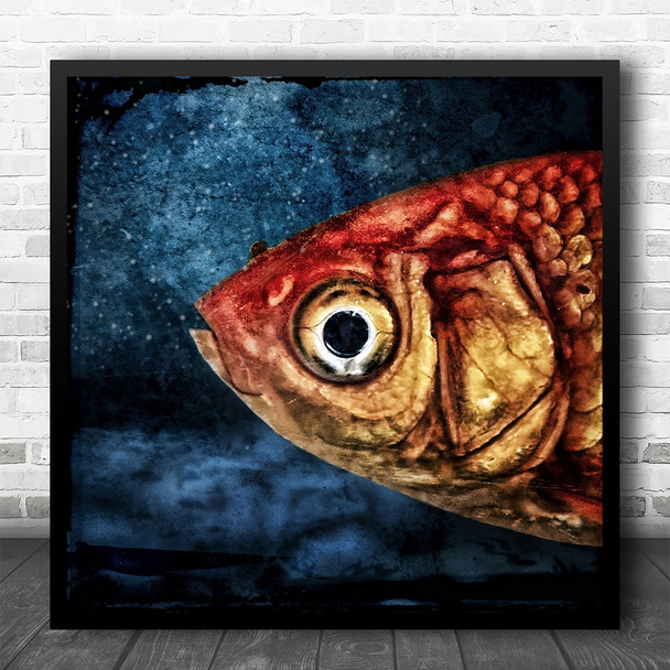 Underwater Close Up Detail The Goldfish Square Wall Art Print