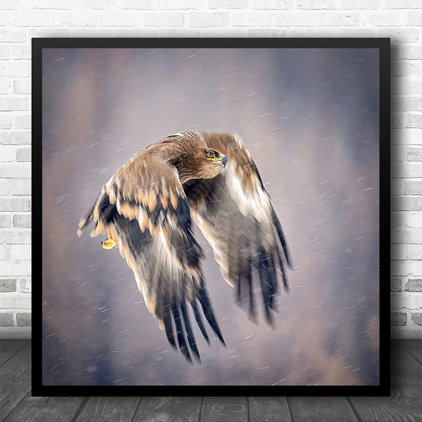 Bird Flying Soaring In The Snow Square Wall Art Print