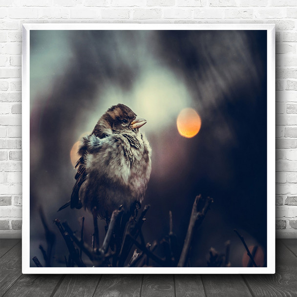 Moon Sparrow Square Wall Art Print