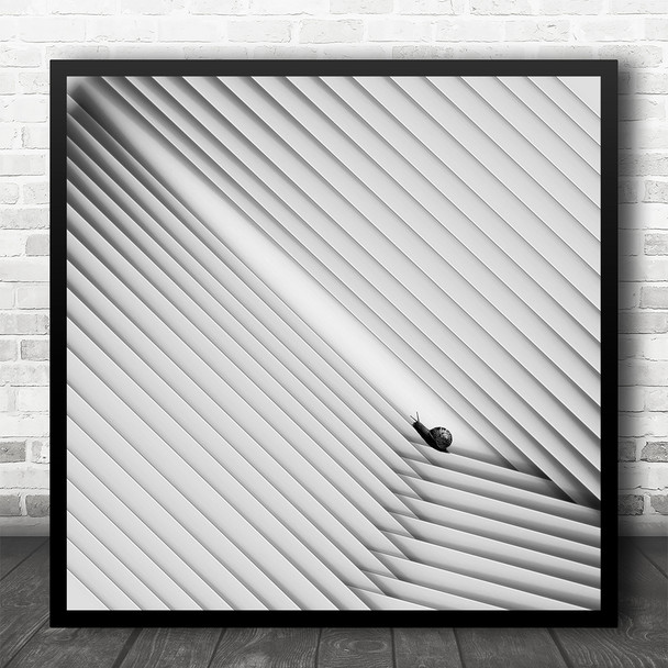 White Abstract Shapes Geometric Lines Snail Square Wall Art Print