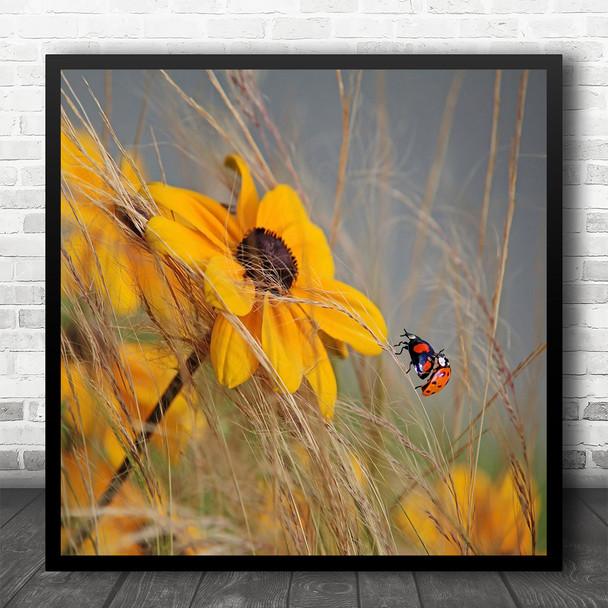 Macro Flower Yellow Insect Ladybug Animal Fauna Colors Closeup Square Art Print