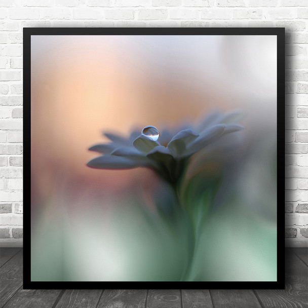 Flower Flora Floral Macro Drop Drops Droplet Soft Petals Blur Square Art Print