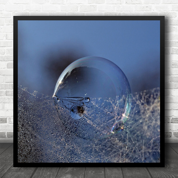 Macro Soap Abstract Bubble Denmark Dew Web Blue Sphere Circle Square Art Print