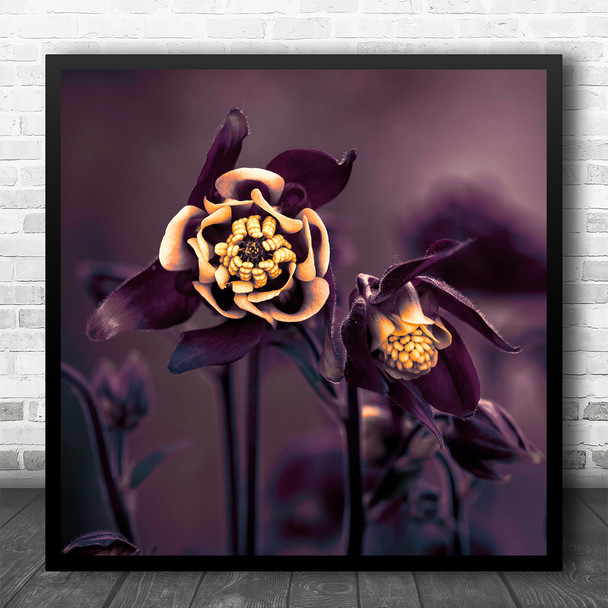 Flower Macro Yellow Purple Close Up Flowers Bokeh Bloom Square Wall Art Print