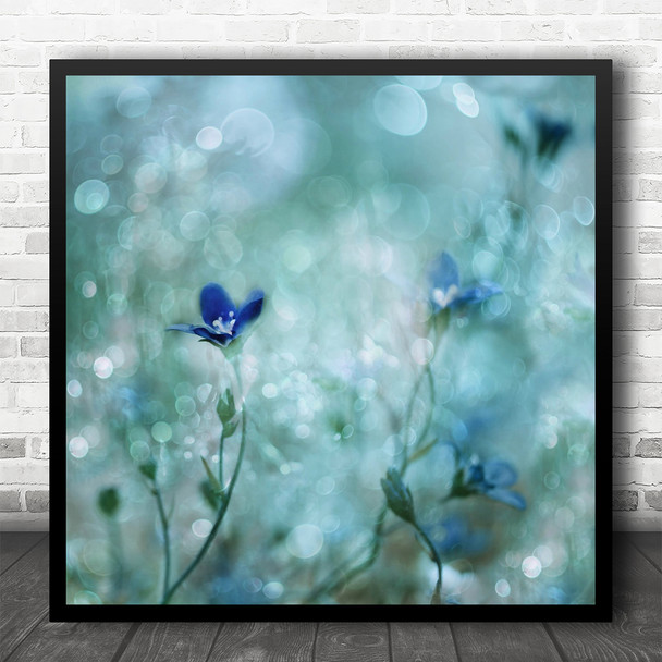 Blue Flower Macro Bokeh Blur Blurry Soft Pastel Colour Square Wall Art Print