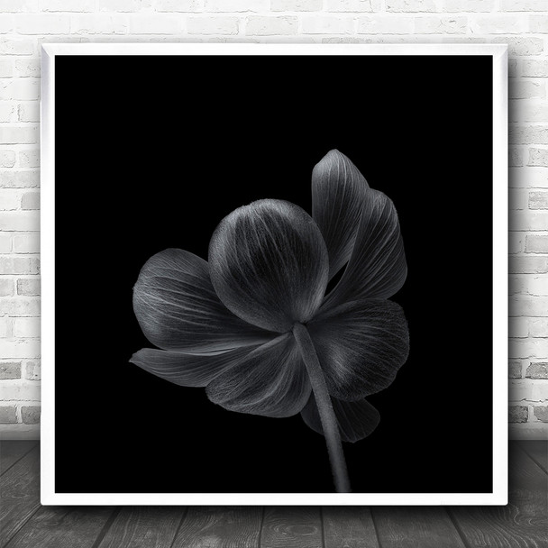 Anemone Flower Monochrome Floral Black And White Square Wall Art Print