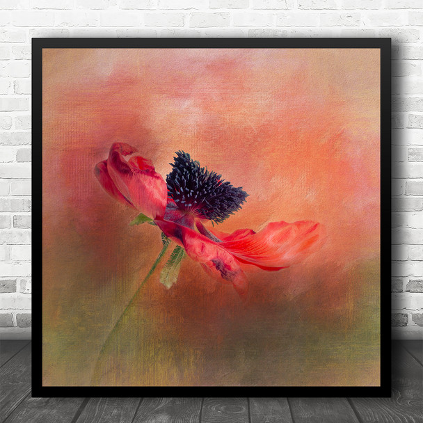 Watercolour Blooming Red Poppy Still Life Nature Square Wall Art Print