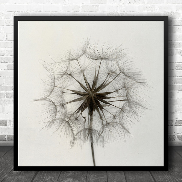 Dandelion Feather Downy Tuft Graphic Flower Square Wall Art Print