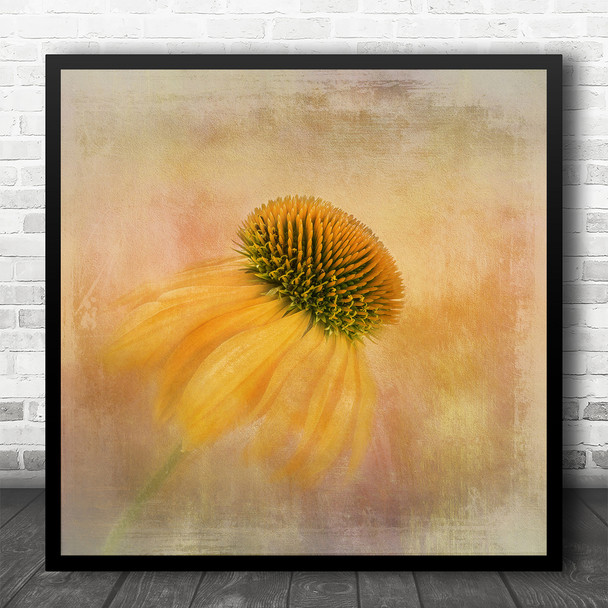 Watercolour Pink Sunflower Withered Petals Square Wall Art Print