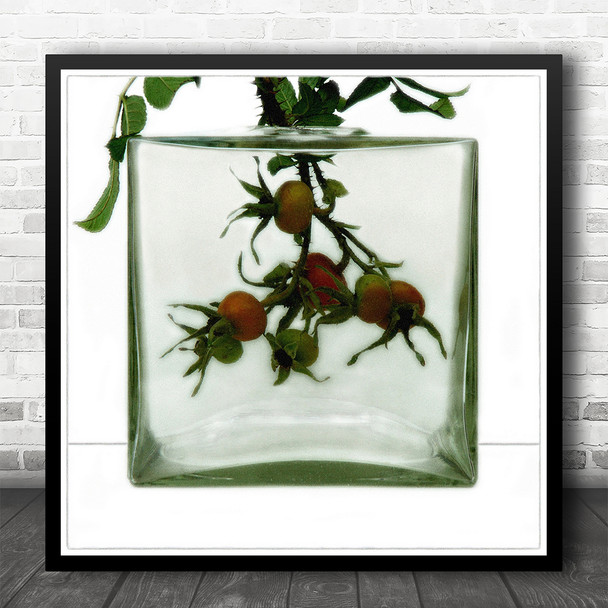 Still Life Tomato Plant Green Glass Vase Square Wall Art Print