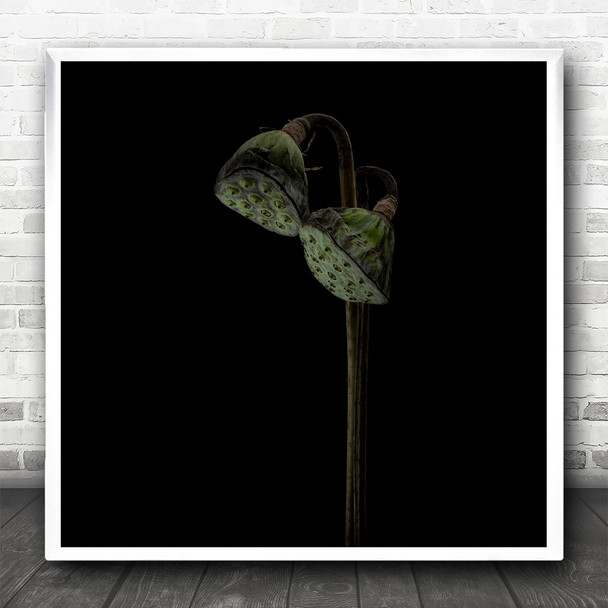 Lotus Seed heads Plant Dark Flowers Square Wall Art Print