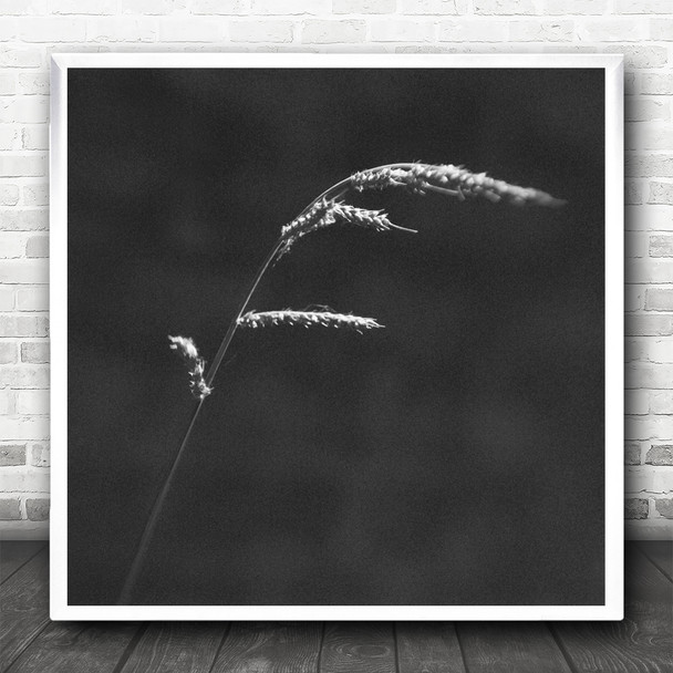 Black And White Wheat In The Wind Square Wall Art Print