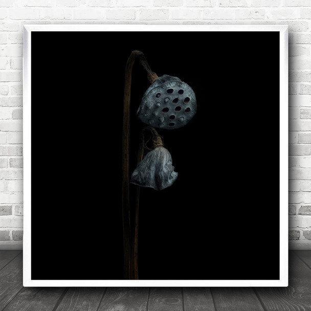 Lotus Plant Black Background Pair Square Wall Art Print