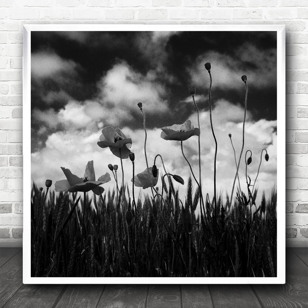 Black And White Flowers In Field Square Wall Art Print