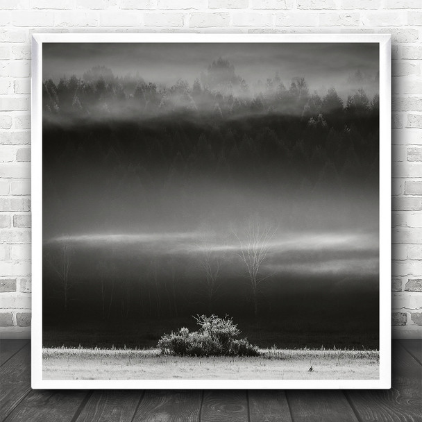 Multiple Exposure Forest Trees Landscape Black And White Square Wall Art Print