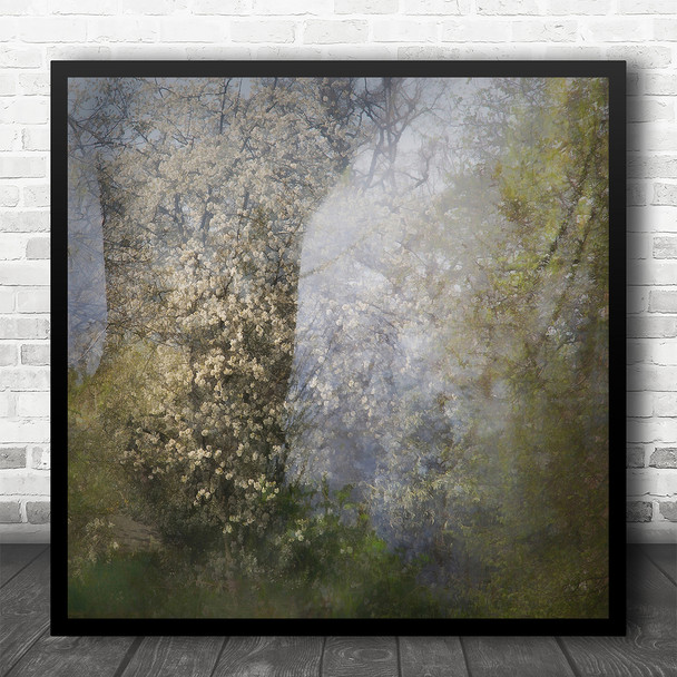 Spring Blossom Multiple Exposure Nature Woodland Square Wall Art Print