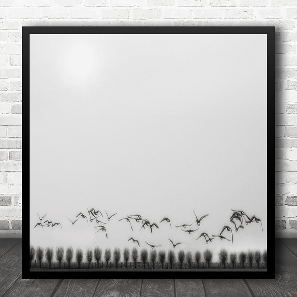 Winter Fields Trees Seagulls B&W Landscape Birds Square Wall Art Print