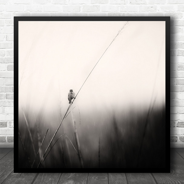 Wildlife Nature Animal Bird Grass Black White Square Wall Art Print