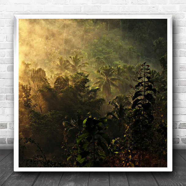 Jungle Landscape Morning Light Rain Forest Square Wall Art Print