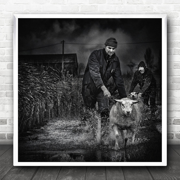 Lissewege Flanders Winter Flood Farmer Rain Storm B&W Farm Square Wall Art Print
