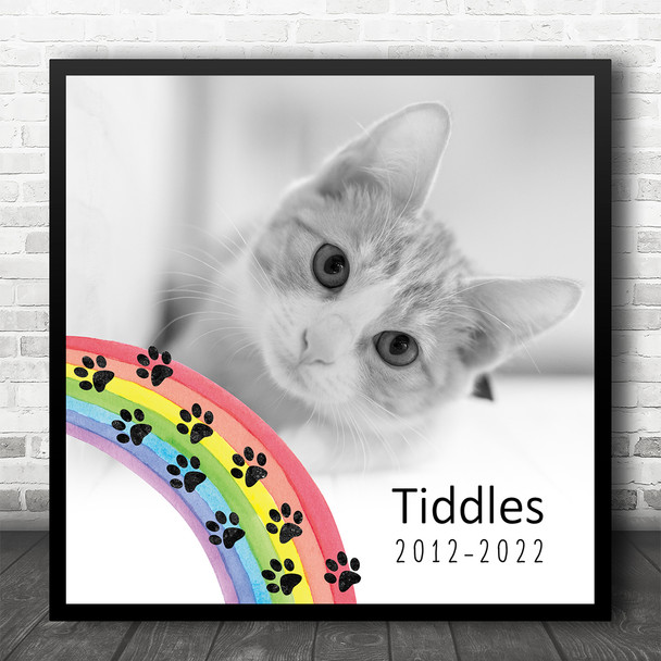 Rainbow Paws Animal Pet Dog Cat Memorial Photo Square Personalised Gift Print