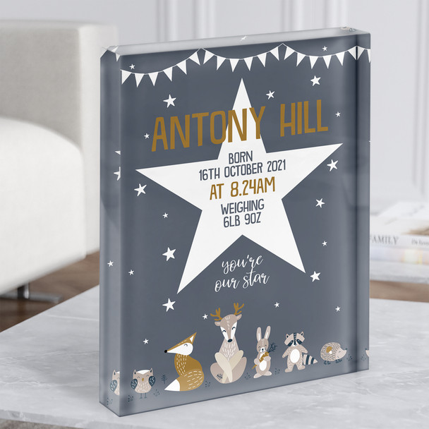 Birth Details Nursery Christening New Baby Woodland Animals Star Acrylic Block