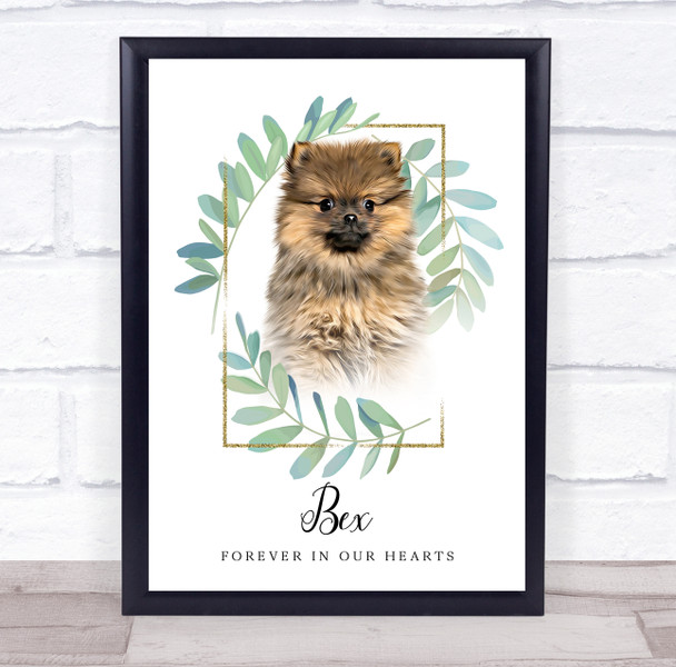 Pomeranian Brown Memorial Forever In Our Hearts Personalised Gift Print