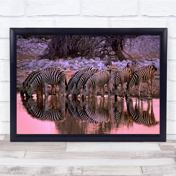 Zebras Africa Wildlife sunset reflection beach drinking Wall Art Print