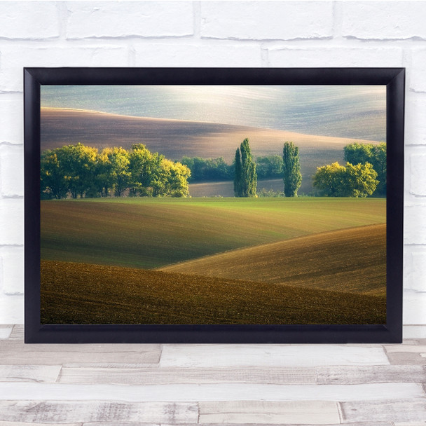 Fields Agriculture Tuscany Field Trees Hills Landscape Wall Art Print