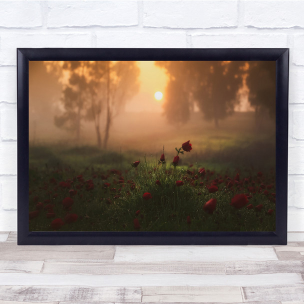 Landscape Sunrise Light Morning Warm light Bloom Grass Wall Art Print