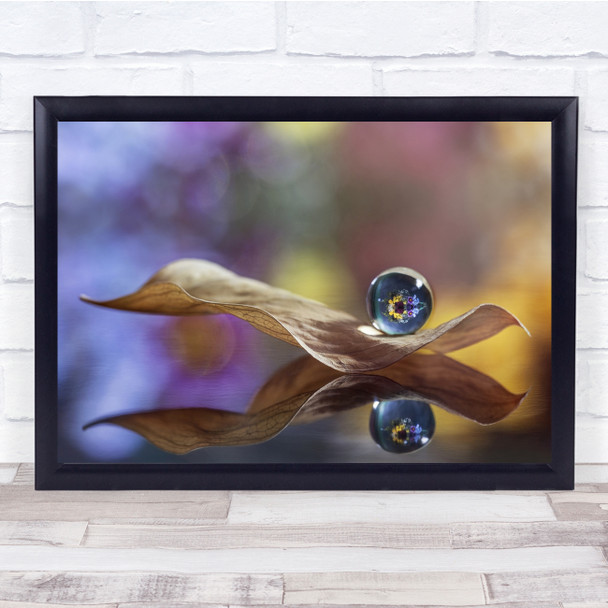 Macro Flowers Leaf Ball Sphere Glass Reflection Wither Wall Art Print