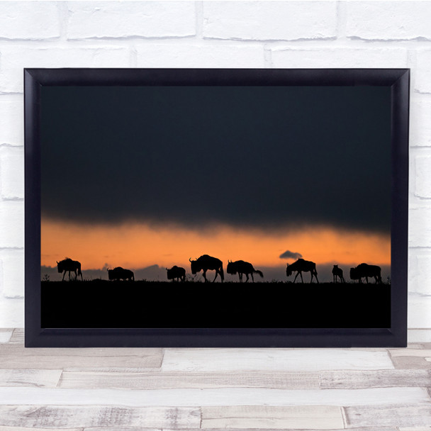 Mammal Nature Wildlife Fauna Hunting Sunrise Migration Wall Art Print