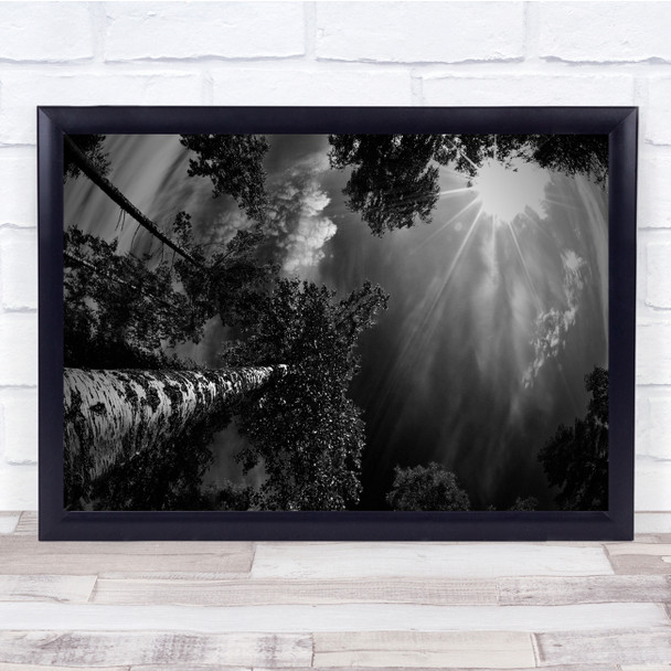 Sky Sweden Forest Sun Flare Foliage Leaves Black White Wall Art Print