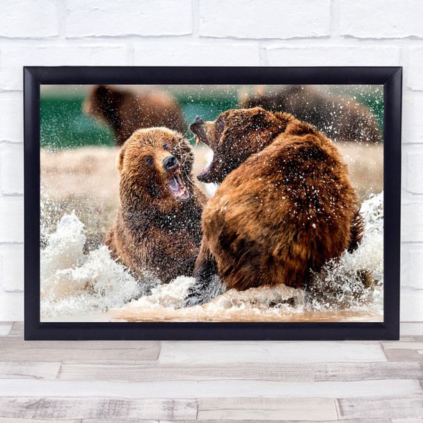 Russia Nature Animals Wild Bears Water Fighting scary Wall Art Print