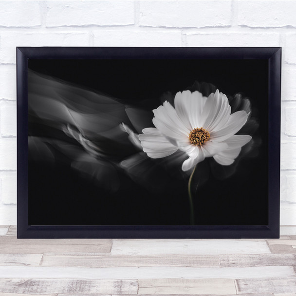 Flower White Cosmos Photography Multiple Exposure Art Wall Art Print