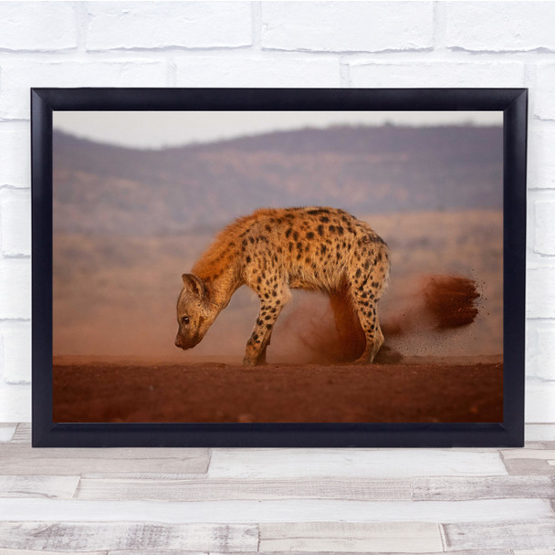 Hyena South Africa Long Exposure Low Angle Brown Dust Wall Art Print