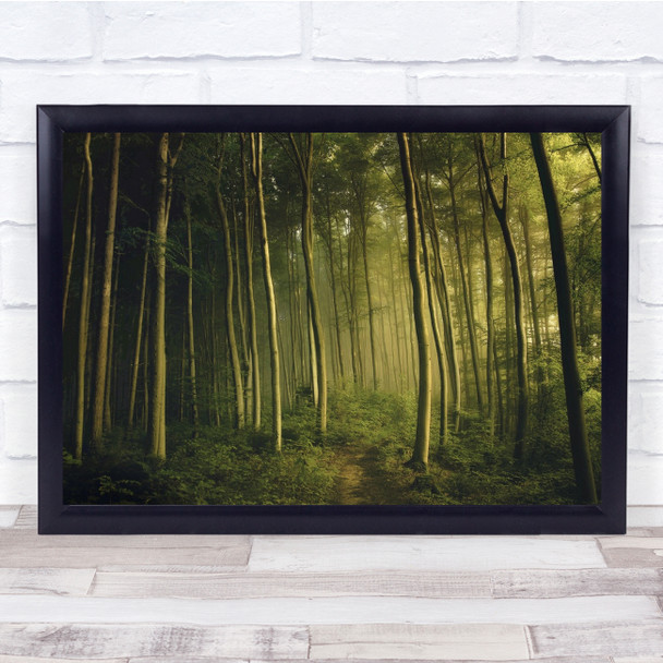 Landscape Trees Forest Summer Fog Atmosphere Panorama Wall Art Print