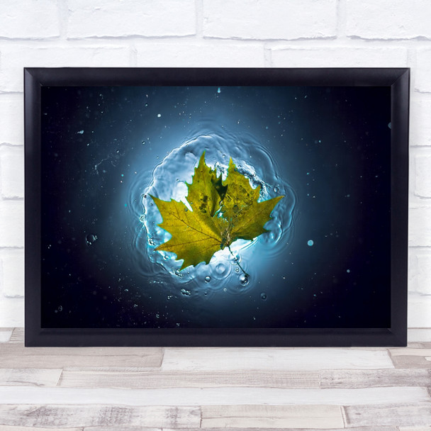 Leaf Autumn Space Fall Still Life Water Ripple Bubble Wall Art Print