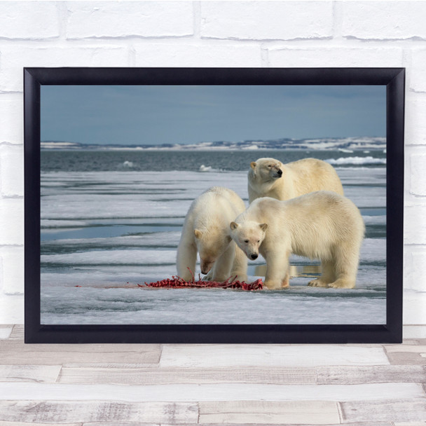Polar Bear Mother Cubs Eating Seal Arctic Ice Glacier Wall Art Print