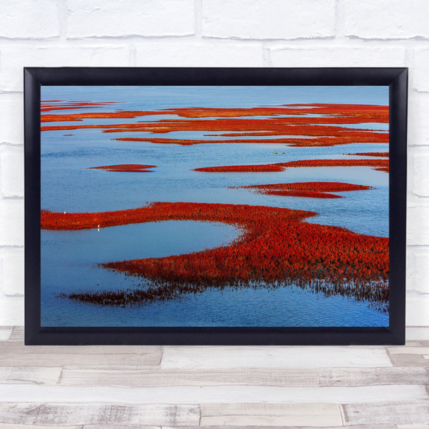 Tidal Flat Suaeda Japonica Makino red landscape water Wall Art Print