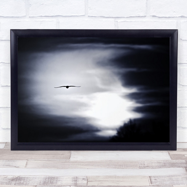 Wildlife Sky Bird Shadow Toned Blue Wild Nature Wings Wall Art Print