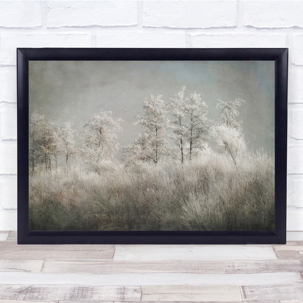 Winter Cold Frost Frozen Hoarfrost Forest Trees White Wall Art Print