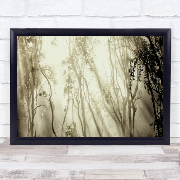 Fog Tree Sintra Panorama Portugal Light Forest Trees Wall Art Print