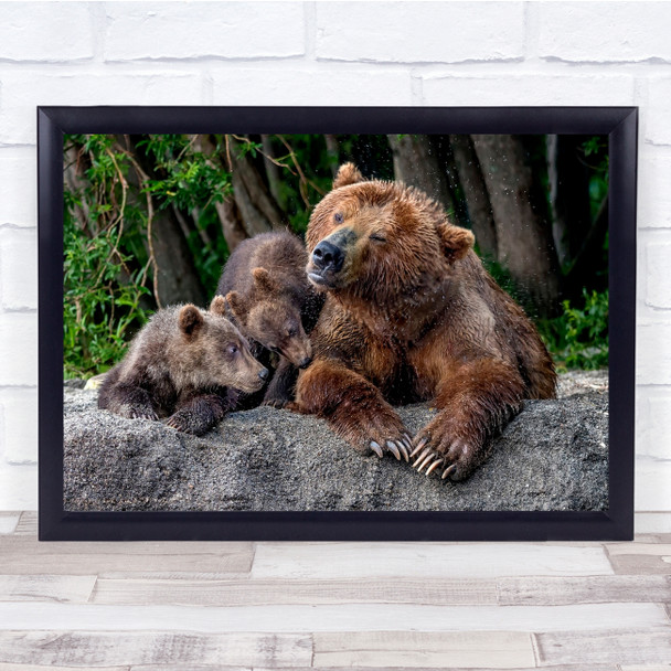 Kurile Lake Kamchatka Nature Animals Wild Bears Cubs Wall Art Print