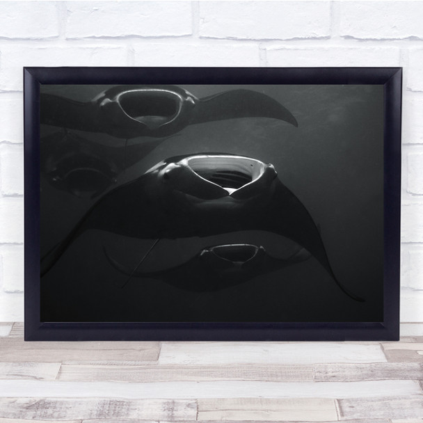 Mantratrays Underwater Diving black and white marine Wall Art Print